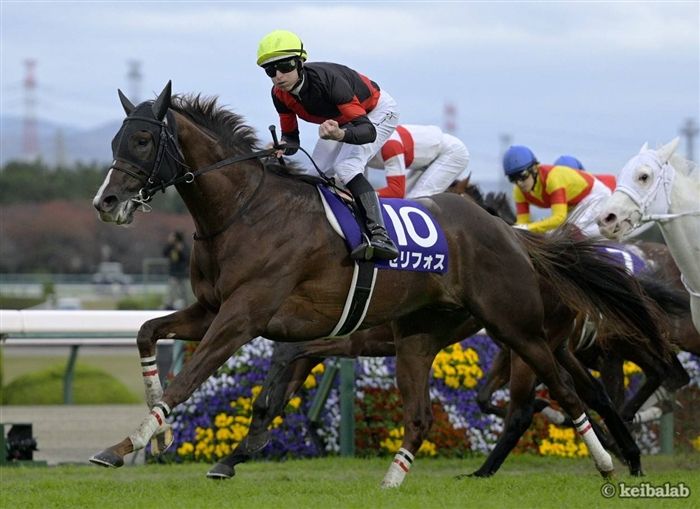 マイルCS】一閃！3歳馬セリフォスが豪快に差し切り新たなマイル王に