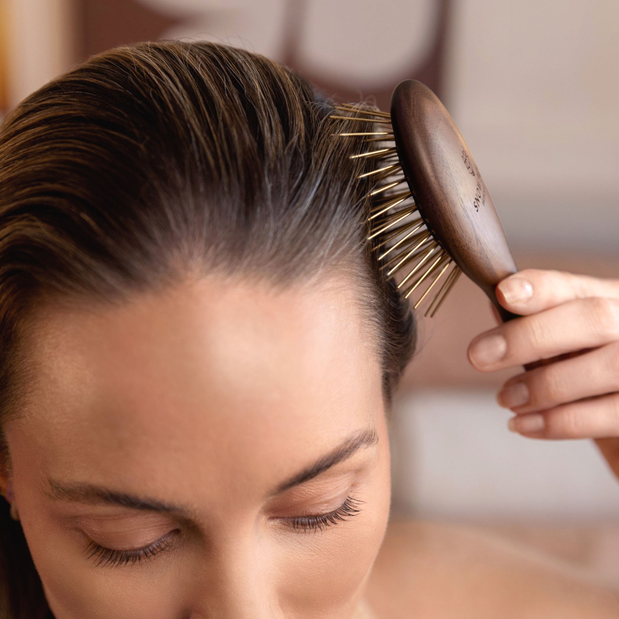 先行予約特典つき】プレミアム FOX カッサ 遠赤外線 ミニ ヘアブラシ