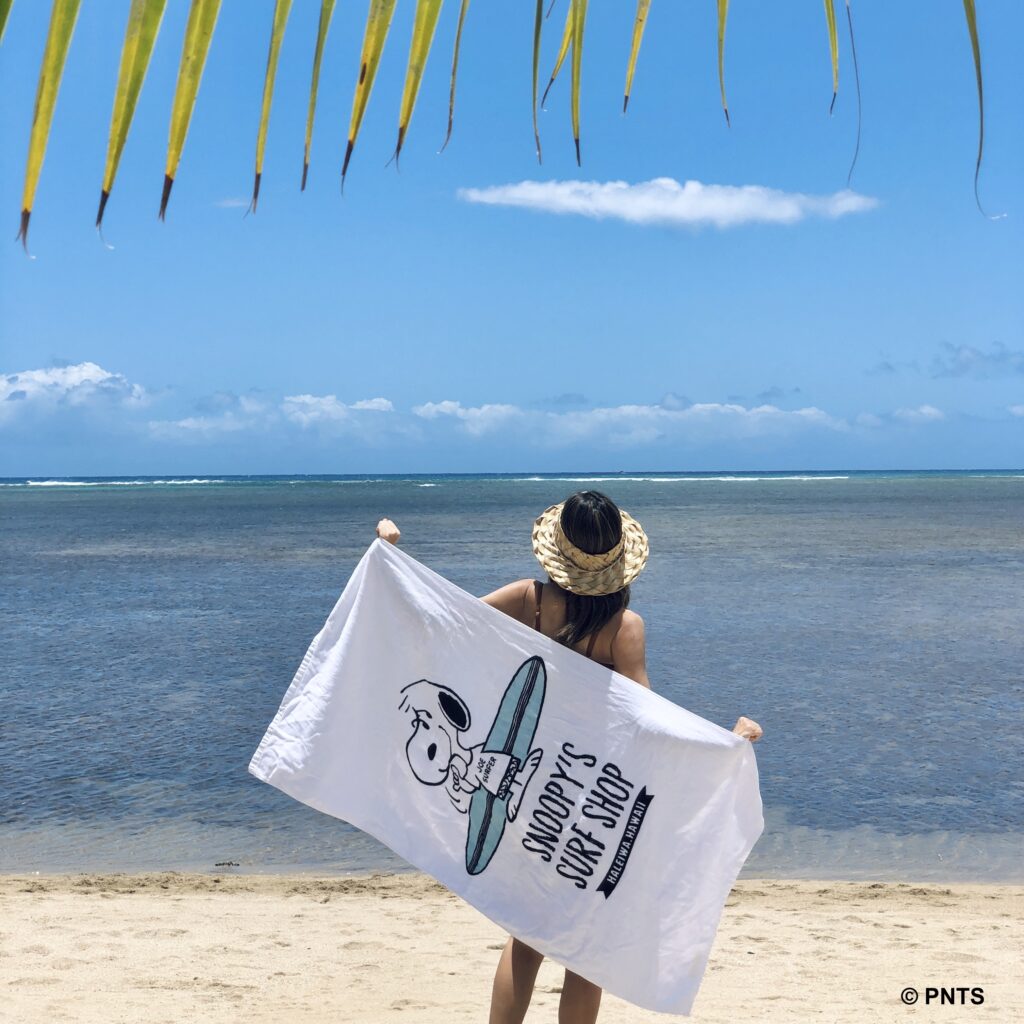 新品未開封ハワイ限定SURF'S UP PEANUTS×ペンドルトンタオルケット