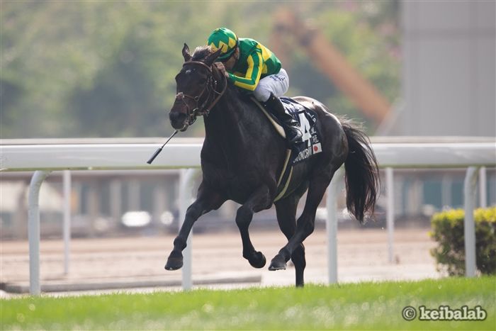 国内外のG1で2勝 サトノクラウンが引退 種牡馬入りへ | 競馬ニュース