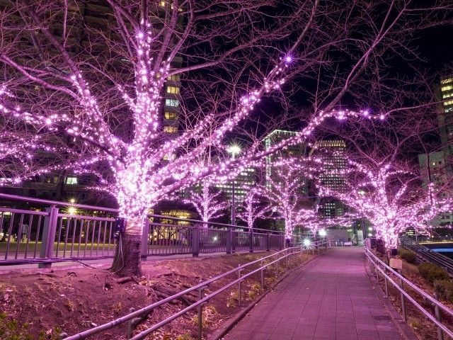 目黒川みんなのイルミネーション2025｜イルミネーション特集