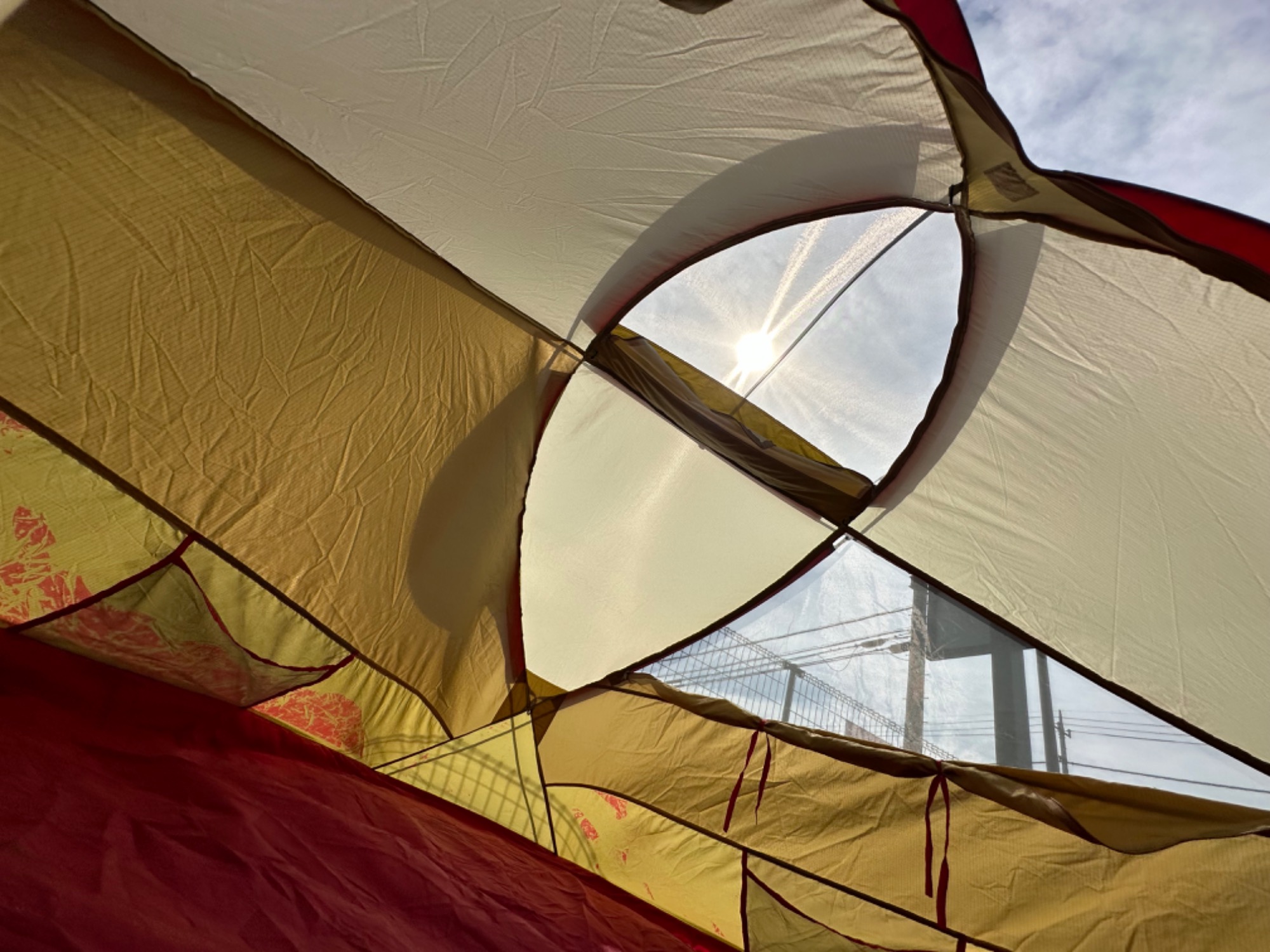 またまた来ましたモステント!!人気の3兄弟からシアトル製のデルトイド