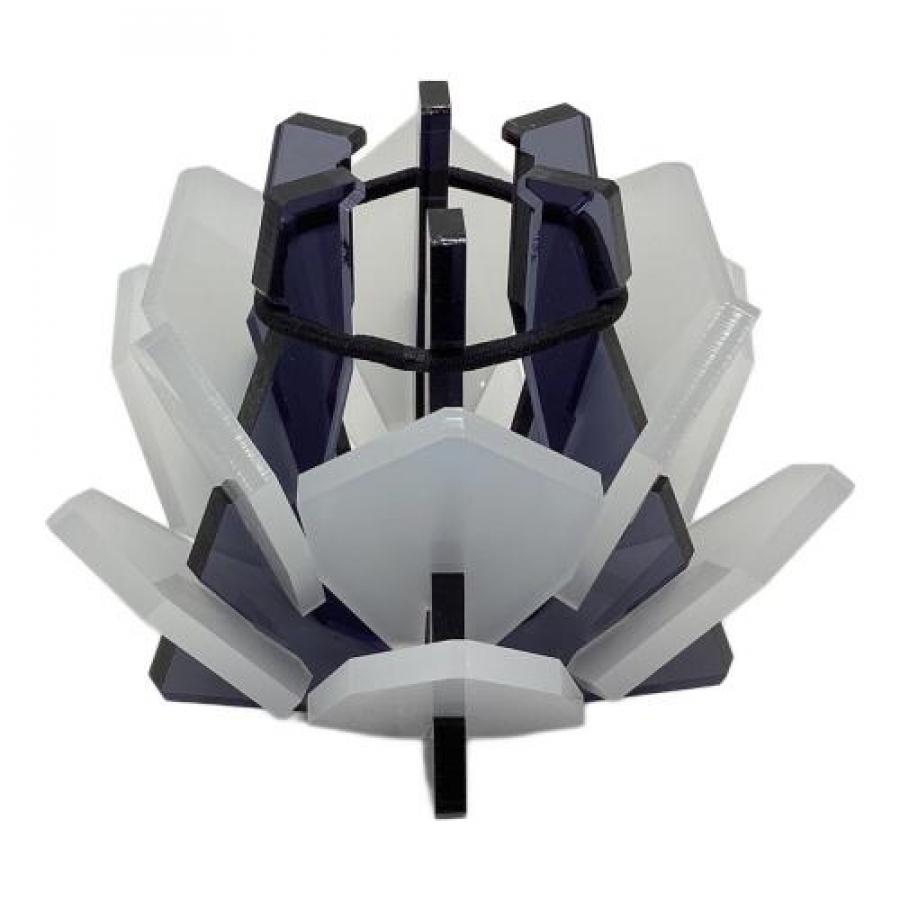 アガベ大量発生！ソウラボのAGAVEがまとめて4点入荷！[2025.02.24発行