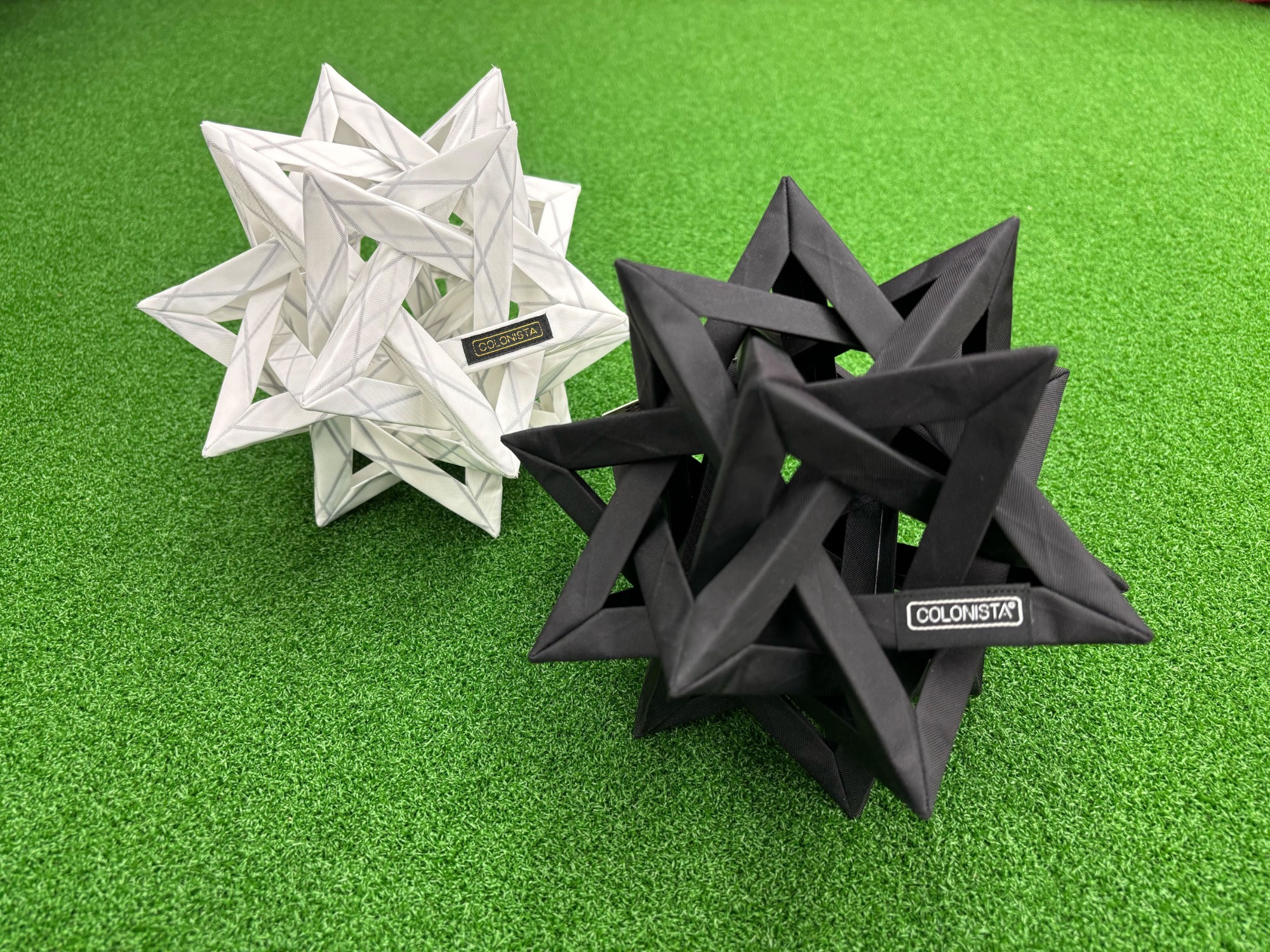 変わらぬ人気！！ コロニスタのコンペイトウ その魅力とは？[2025.06