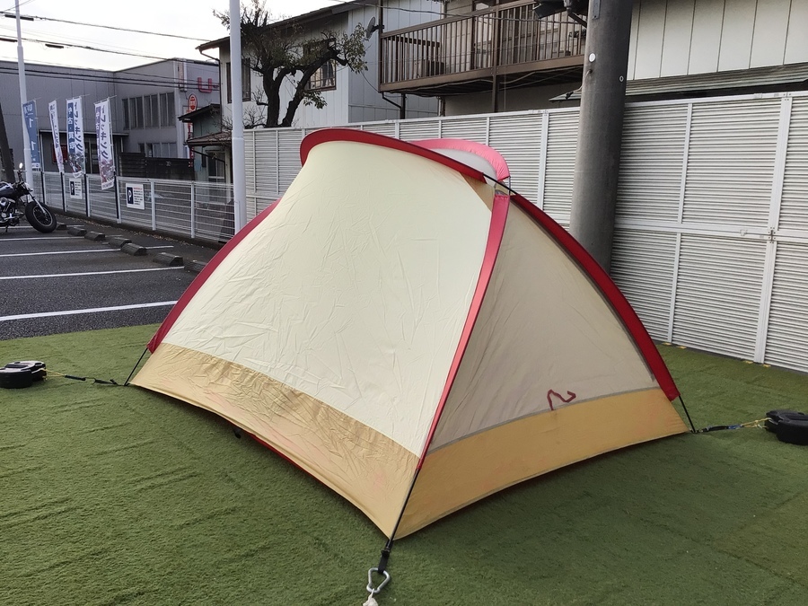 モステントの不朽の名作「スターゲイザー＝星を観察する者」[2021.11