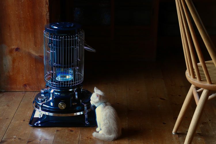 000000000781-05.jpg?size=l&w=