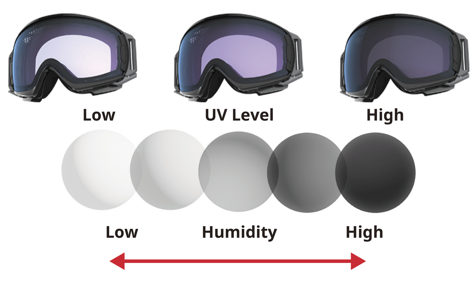 Photochromic lens for Snow goggles | | [official]SWANS