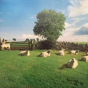 CHILL OUT ALBUM (2017 CLEAR VINYL RE-ISSUE)/KLF/ロングセラー