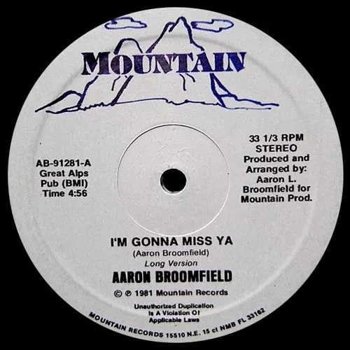 AARON BROOMFIELD商品一覧｜ディスクユニオン・オンラインショップ