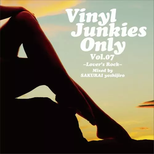 VINYL JUNKIES(JPN)商品一覧｜DU BOOKS｜ディスクユニオンの出版部門