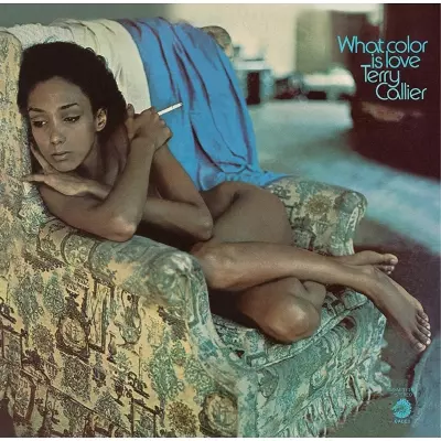 WHAT COLOR IS LOVE (LP)/TERRY CALLIER/テリー・キャリアー｜SOUL