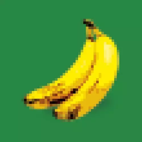 DONKEY KONG COUNTRY OST 2 (RECREATED)(LP)/JAMMIN' SAM MILLER/世界