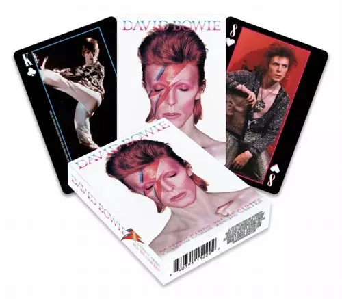 I CAN'T GIVE EVERYTHING AWAY (2002-2016) [13CD BOX]/DAVID BOWIE