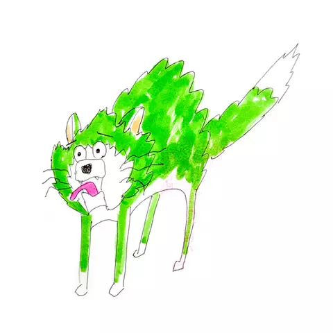 Summer Eye商品一覧｜ディスクユニオン・オンラインショップ