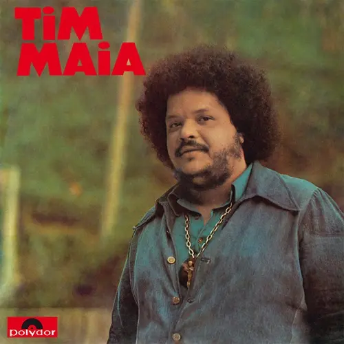 TIM MAIA (1973)/TIM MAIA/チン・マイア/一家に一枚!!ブラジリアン
