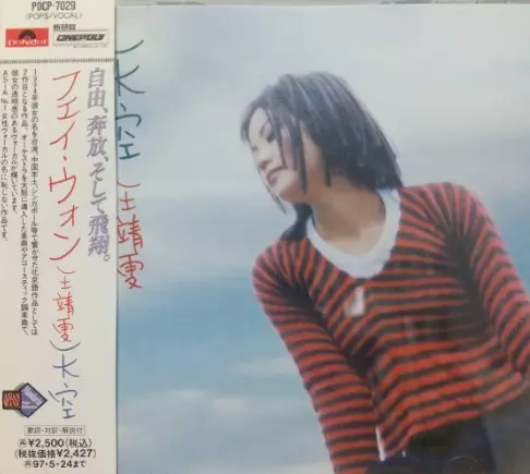 天空/FAYE WONG/フェイ・ウォン (王菲)｜LATIN/BRAZIL/WORLD｜ディスク