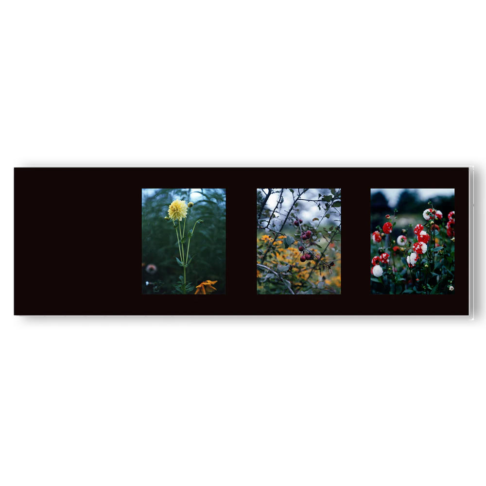 種類の選択可】Etude by Risaku Suzuki(鈴木理策) 写真集 鈴木理策 -の