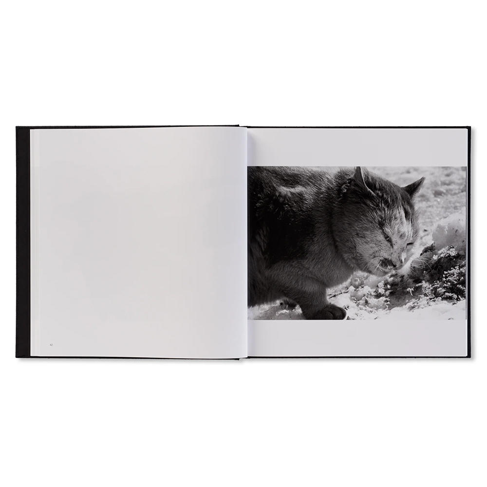 深瀬昌久写真集 「鴉/RAVENS（レイブンズ）」 . 深瀬昌久 -の商品詳細