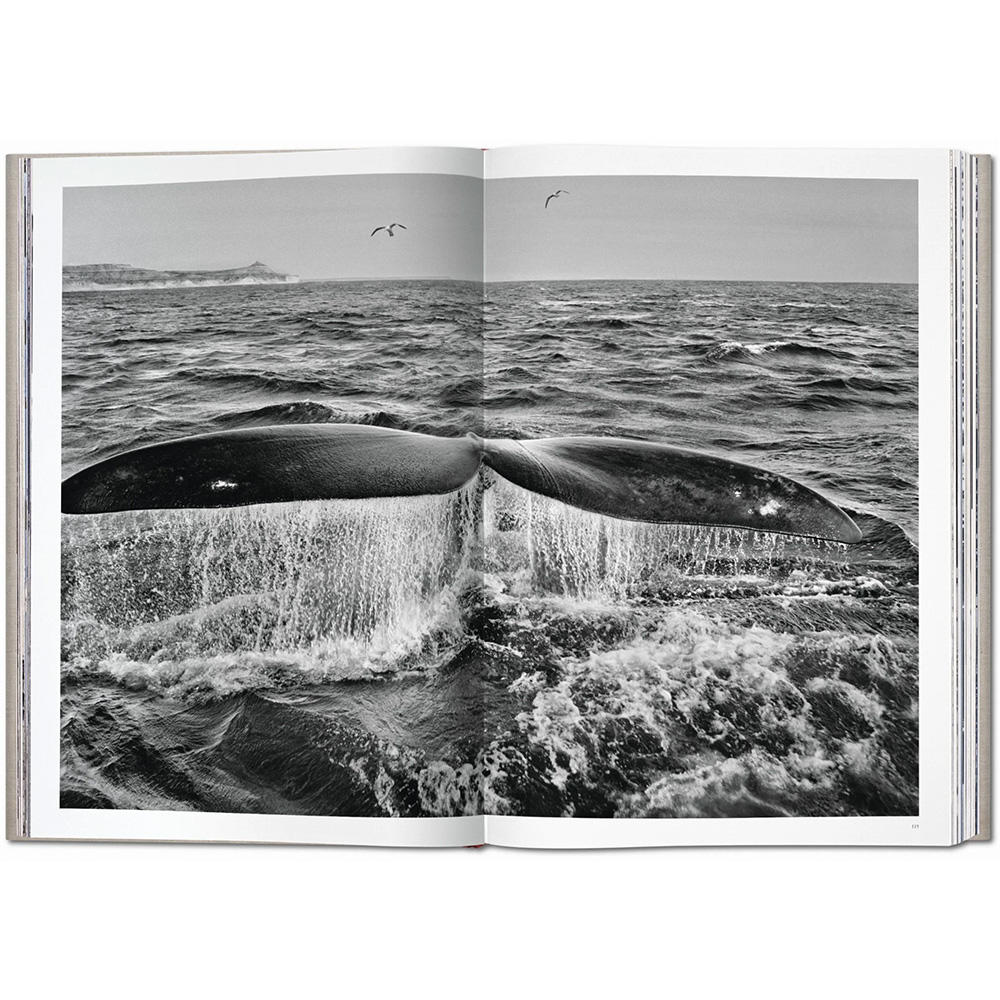 サイン入り：SUMO size】セバスチャン・サルガド写真集『Genesis』2巻