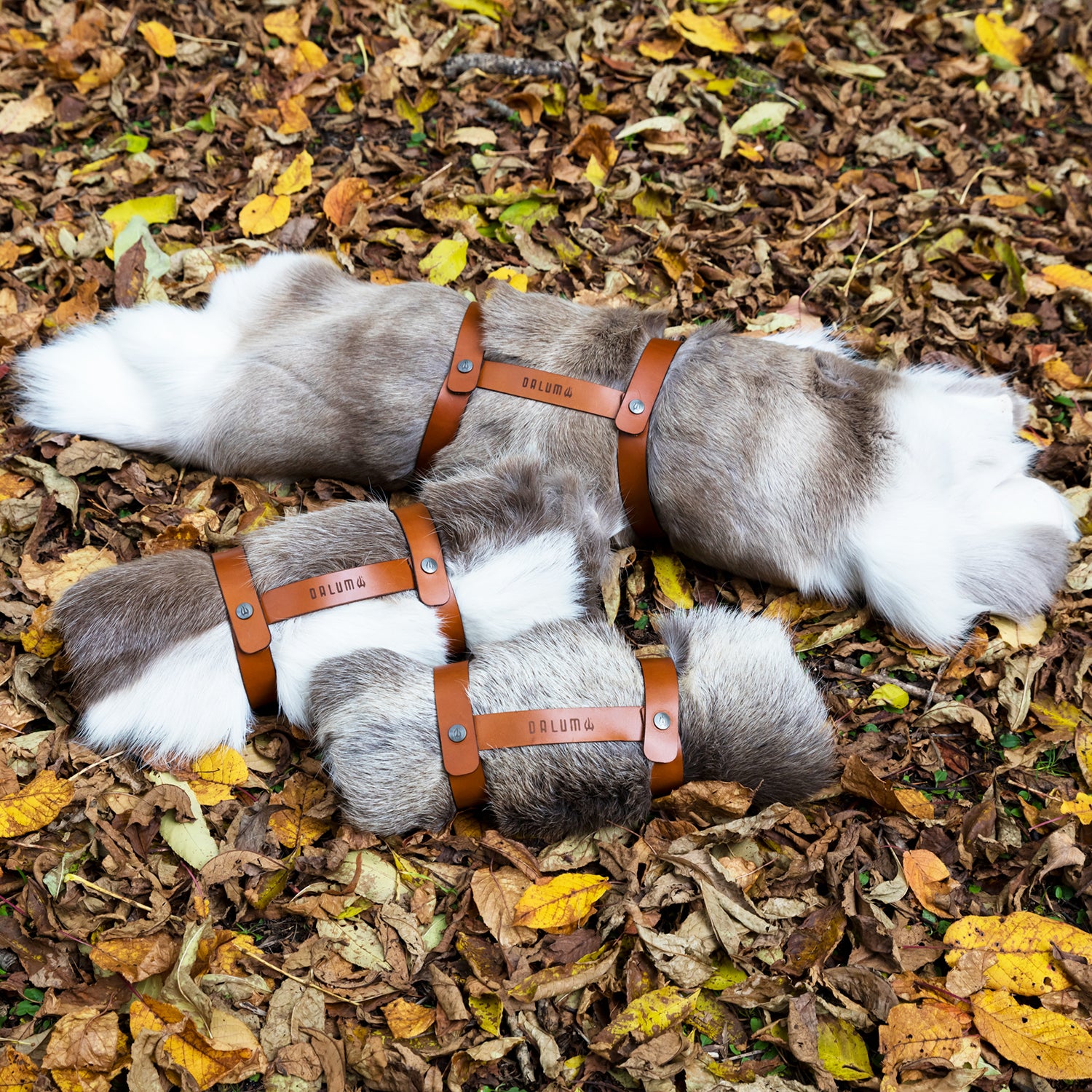 DALUM REINDEER FUR WARD S / ダーラム トナカイファー ワード S