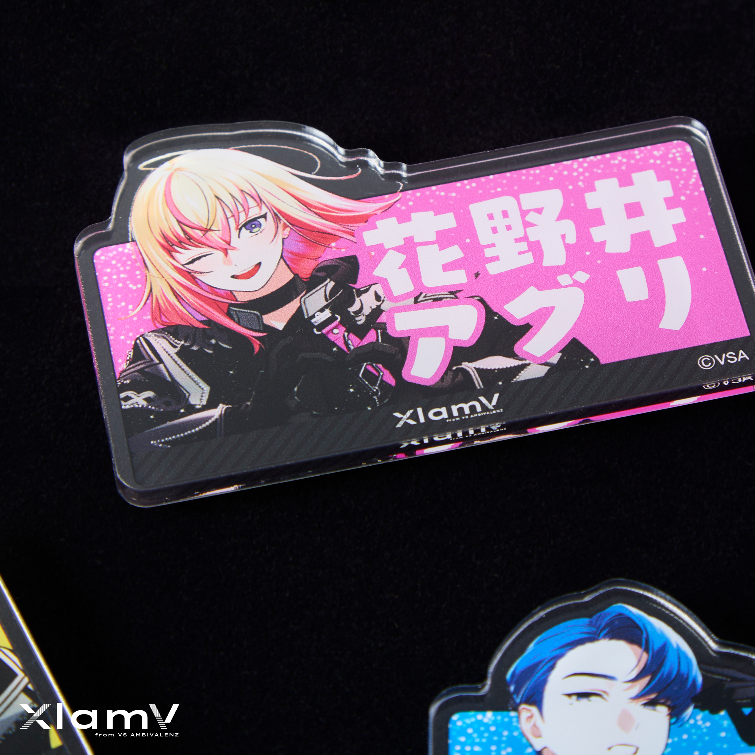 Costume Ver.II】XlamV おなまえプレート NAGOMU | VS AMBIVALENZ