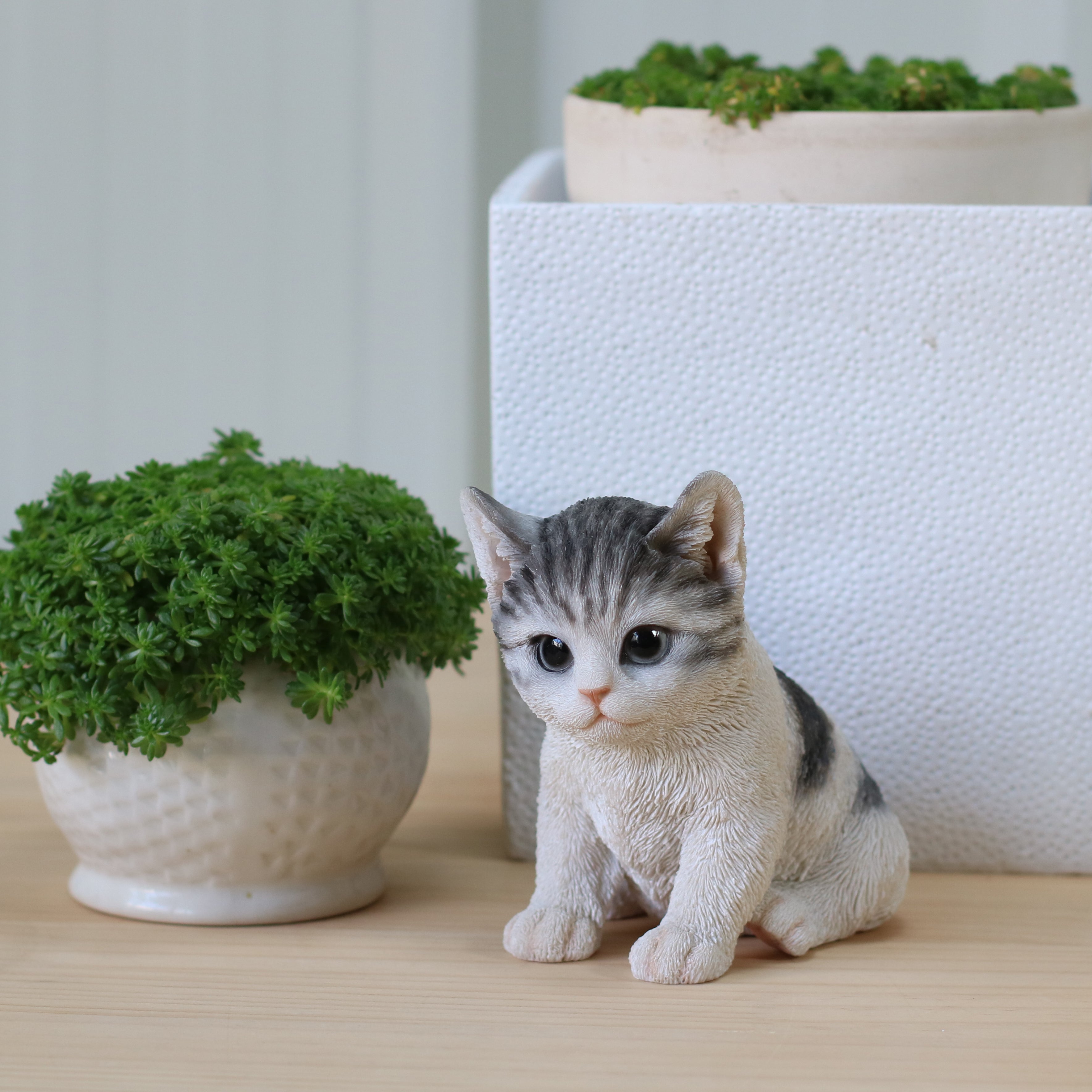 左向き座りサバトラ白猫｜WooBia公式オンラインショップ – WooBia