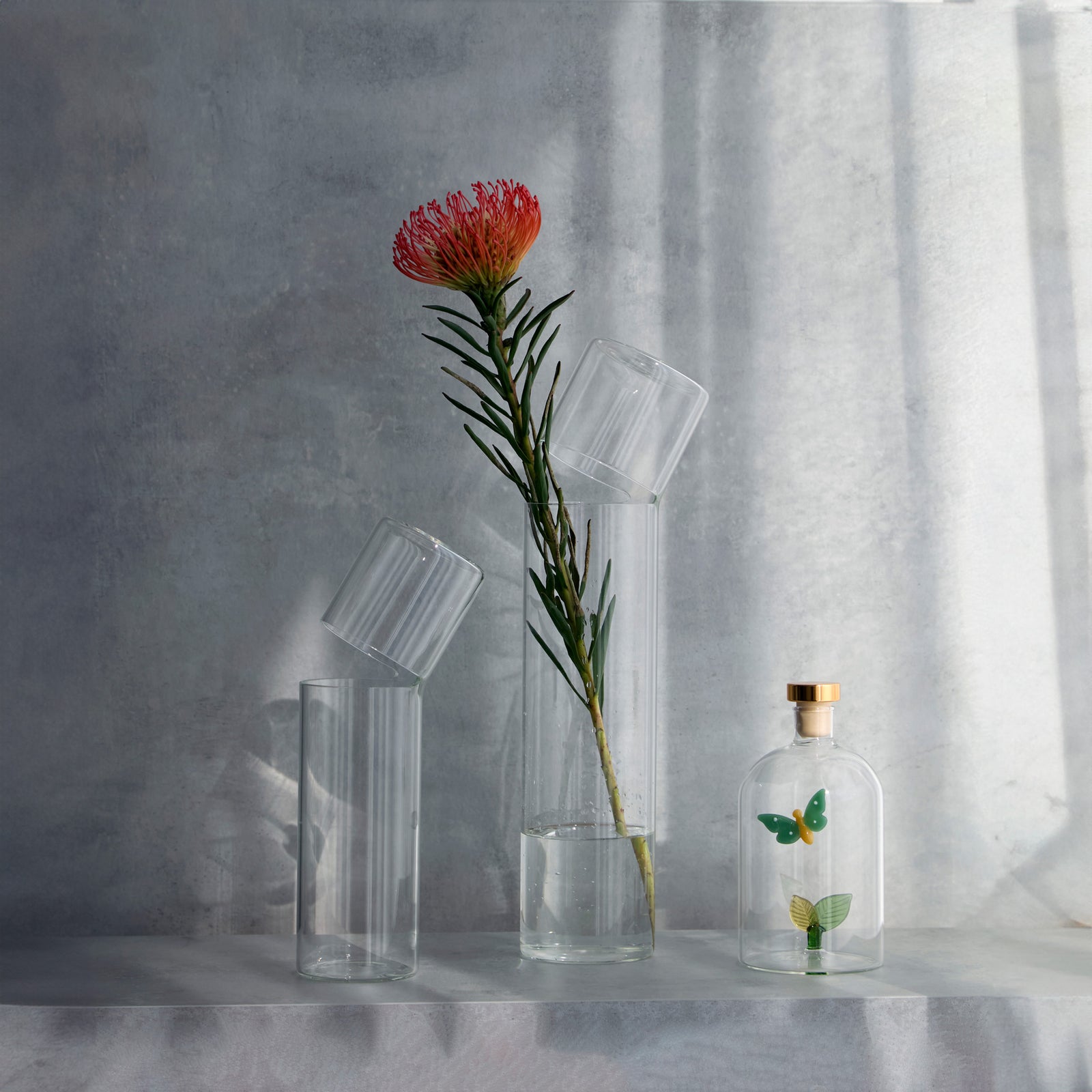 MG_4443-1_1600x.jpg?v=1730873213