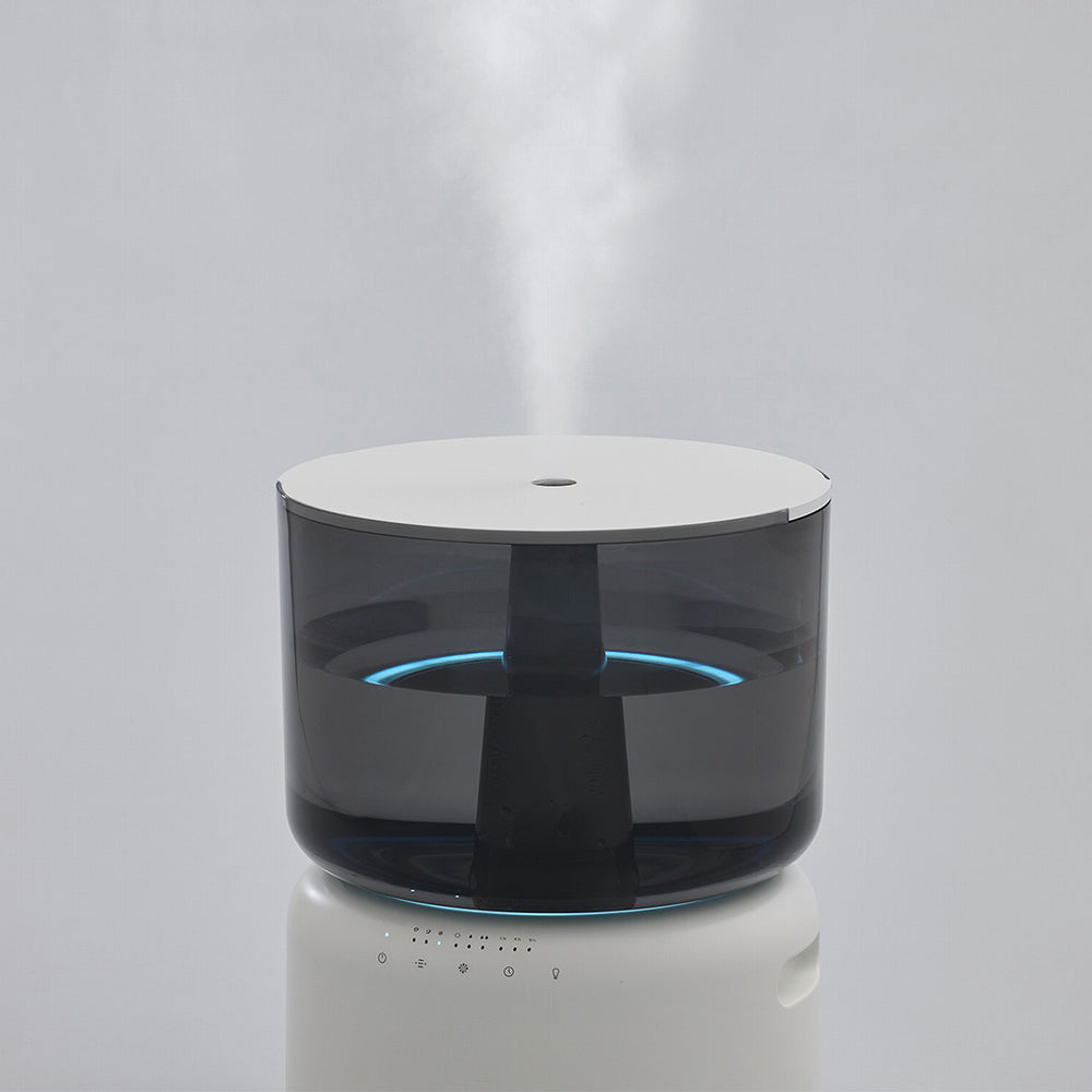 05104490_5_1000x.jpg?v=1764640350