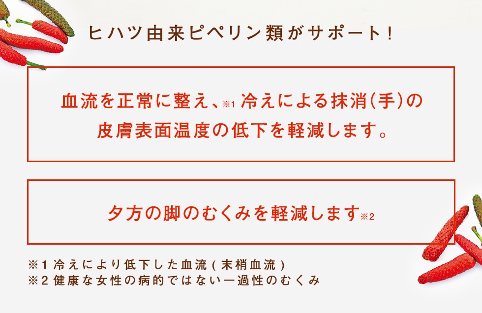 HAKKANスティック: LAVA公式オンラインストアLapre｜LAVA公式