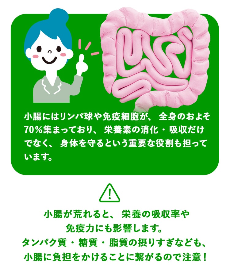 定期購入キャンペーン】LAVA BRM1.3［1箱コース：20％OFF］(50包／箱