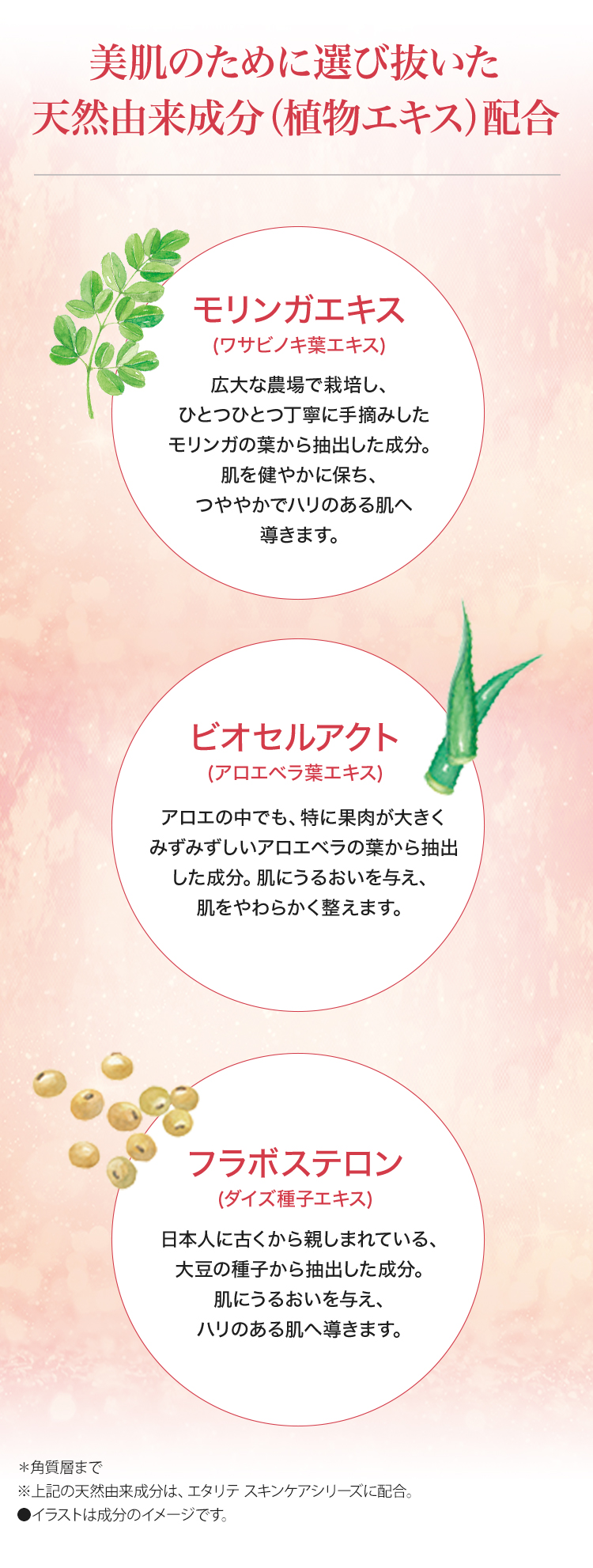 エタリテ 満ち足りて上質に輝く未来へ ｜ シャルレ ウェブストア