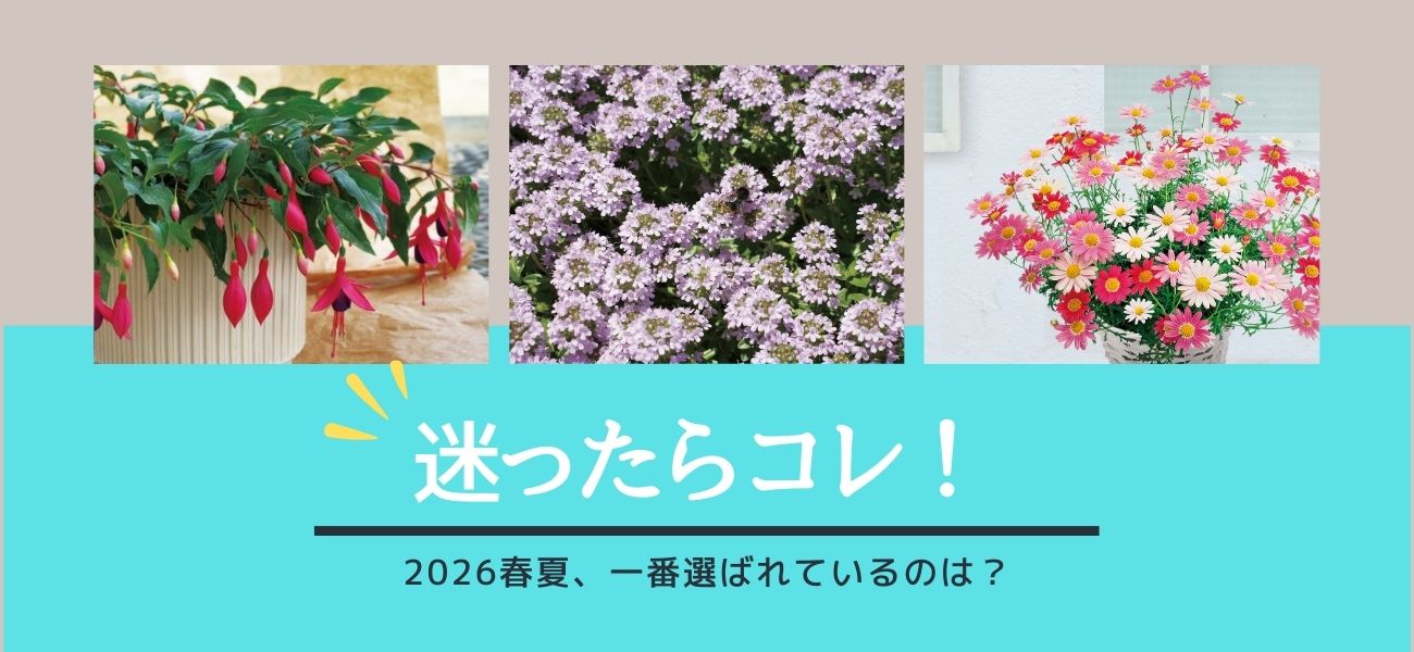 PW公式オンラインストア / TOPページ