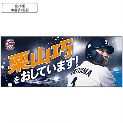 選手から探す/#27 炭谷 銀仁朗 | 埼玉西武ライオンズ公式オンライン