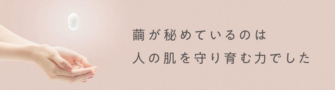 セーレンオンラインショップ｜公式通販
