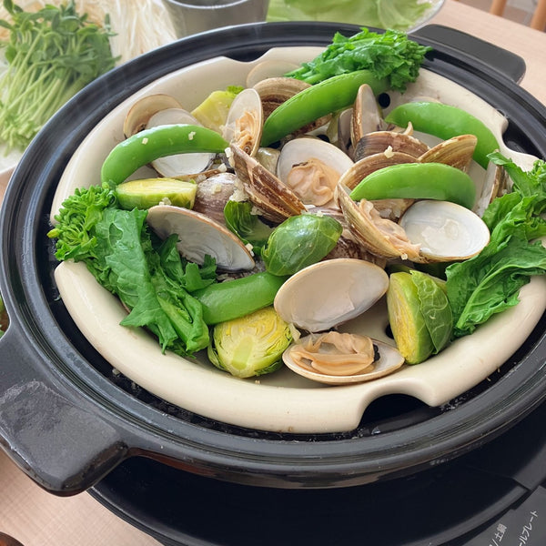 おうちいろり SQ-D151D | シロカオンラインストア