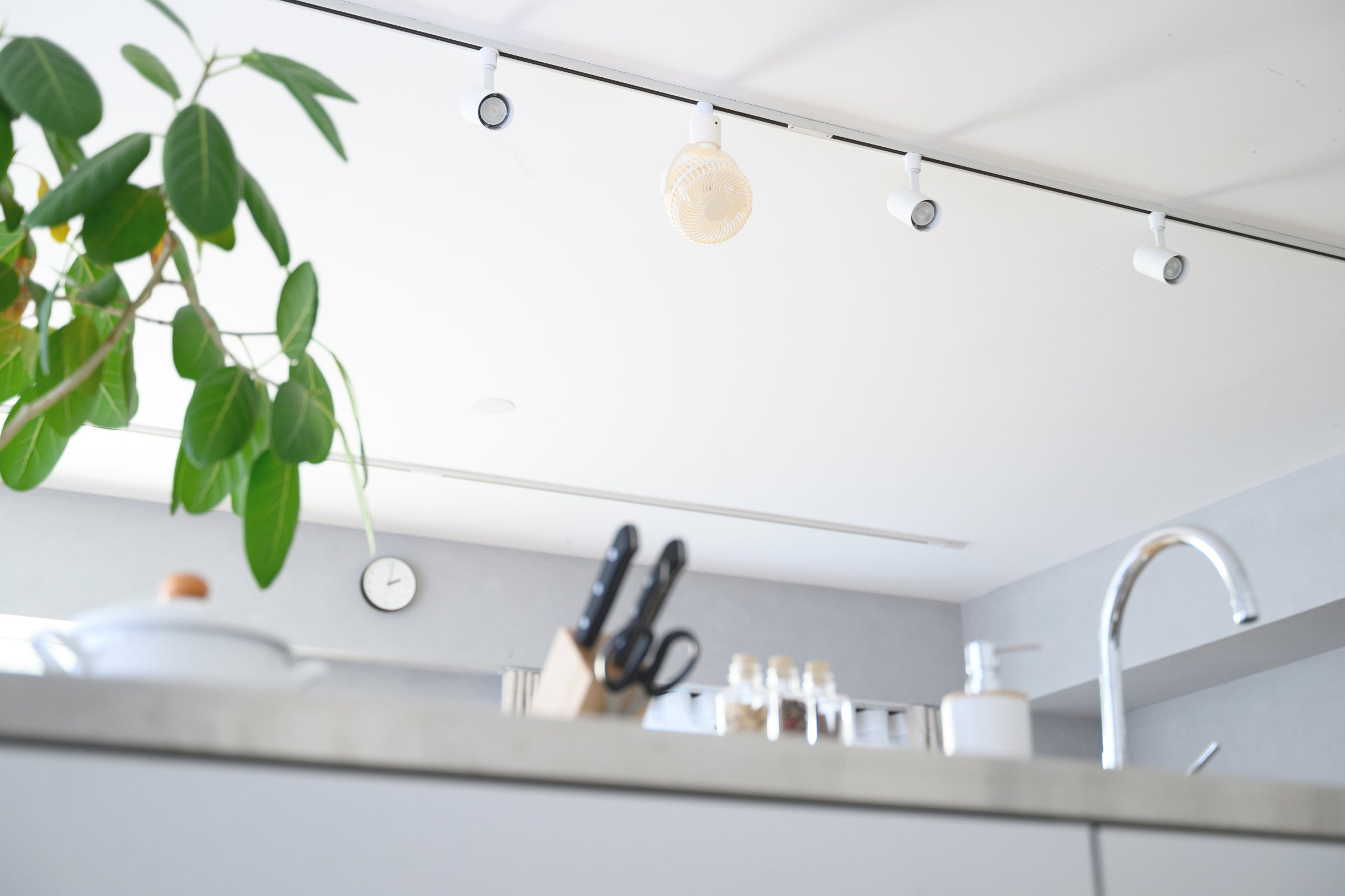 UZUKAZE RAILFAN – SWAN ONLINE STORE