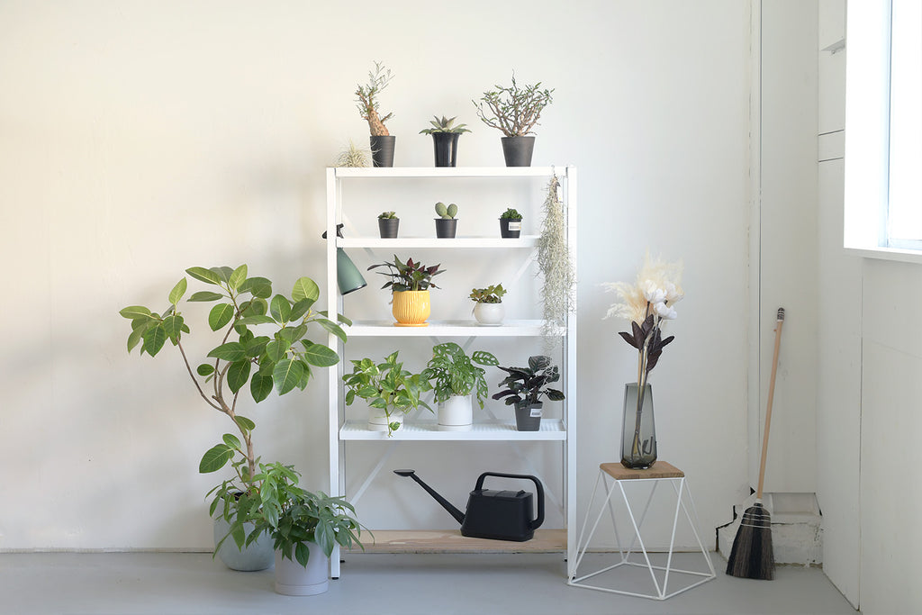 H1500White_1024x.jpg?v=1705495148