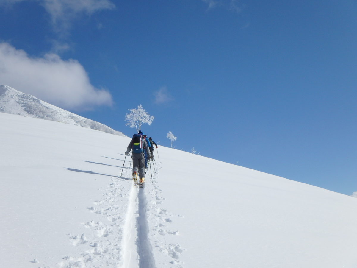 バックカントリーに必要な基本ギアや装備リストを知る｜スキー