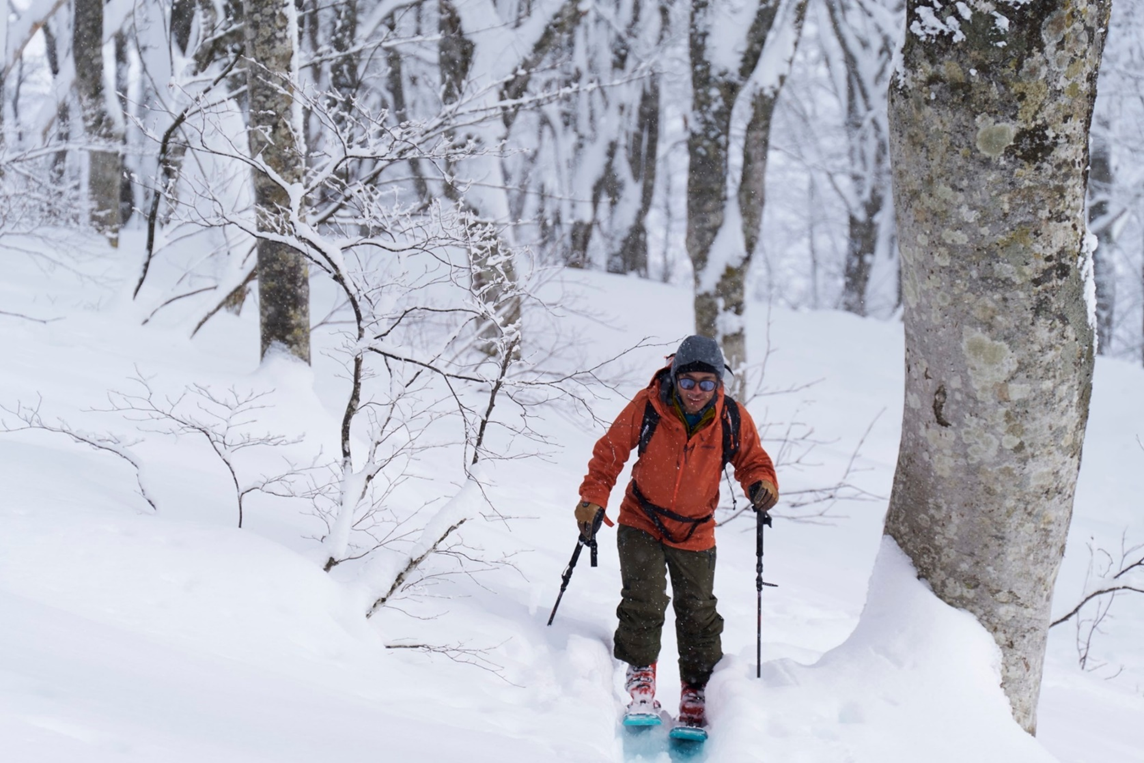 バックカントリーのポール選び'24-25 | スキー・スノーボード情報