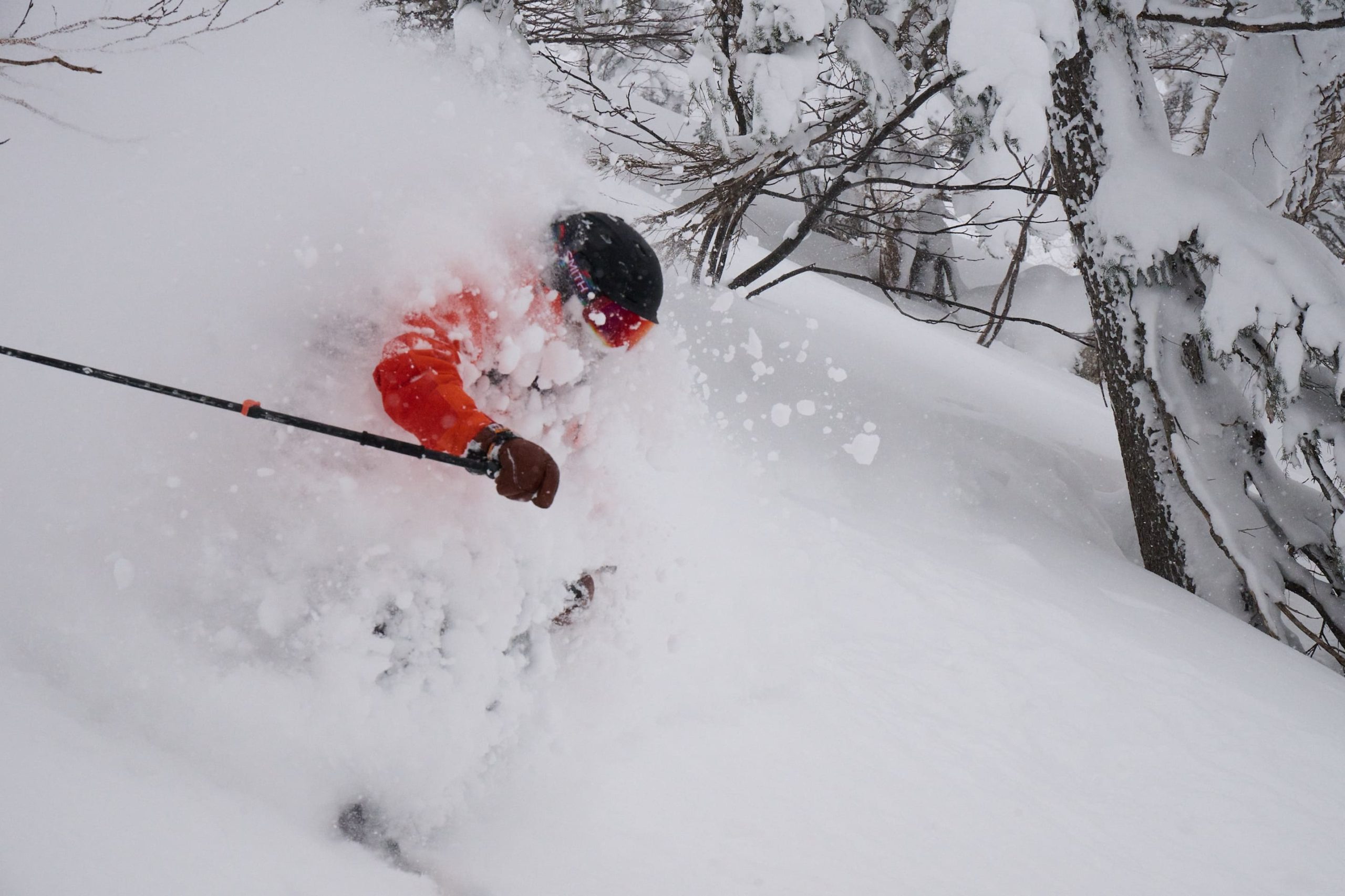 バックカントリー初心者のスキー・ブーツ・ビンディング選び 、始める