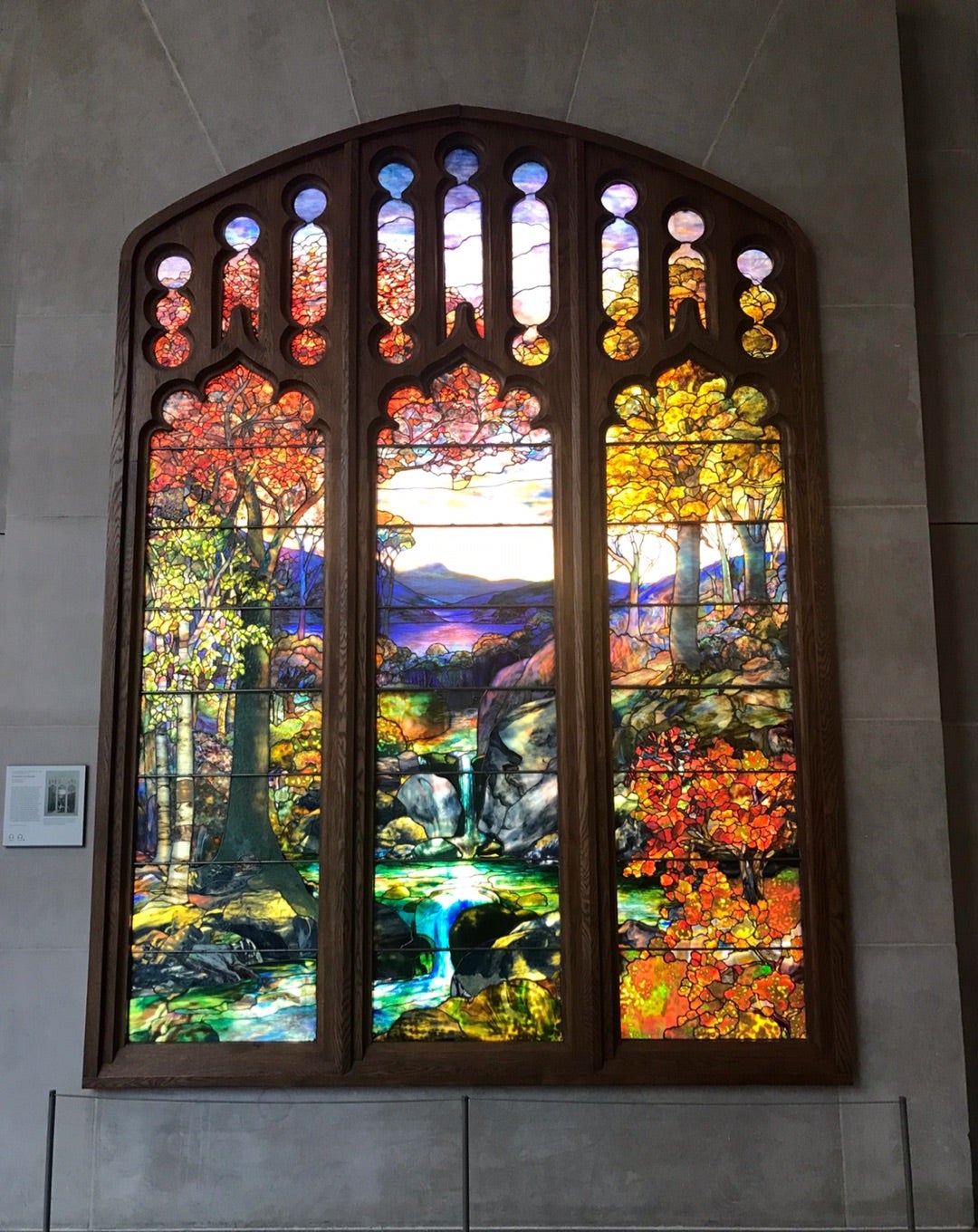 Autumn Landscape | Sunny Side of The Street in New York City