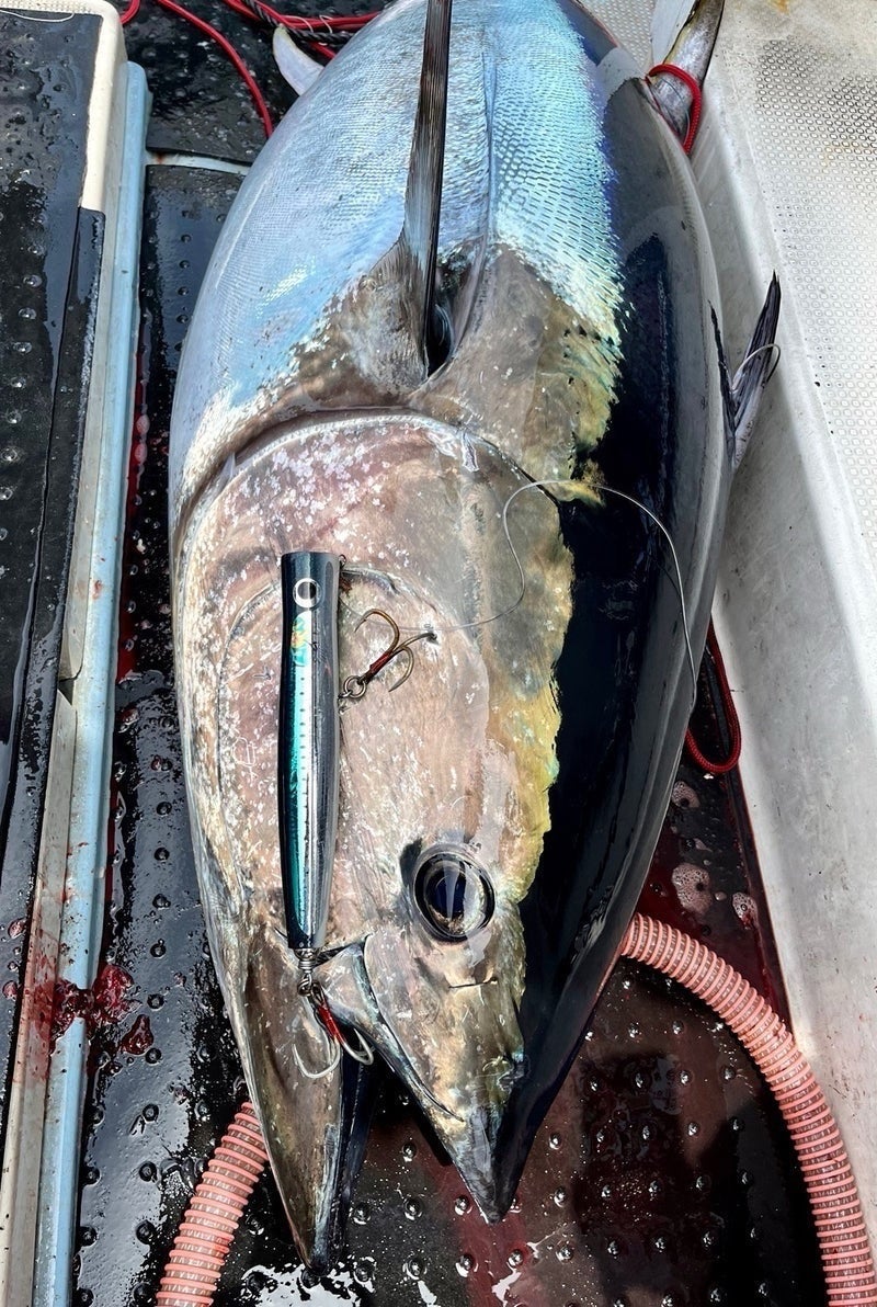 ガラム220m-120g | カーペンタールアー、ロッド研究室