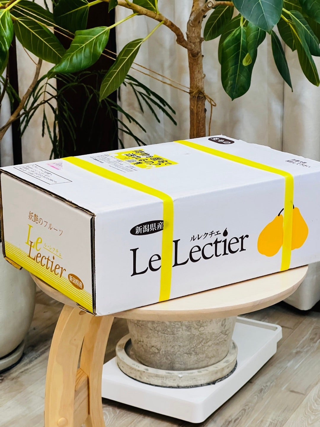 ふるさと納税返礼品】新潟特産！幻の洋梨「ル・レクチェ」3kg | 夫婦で