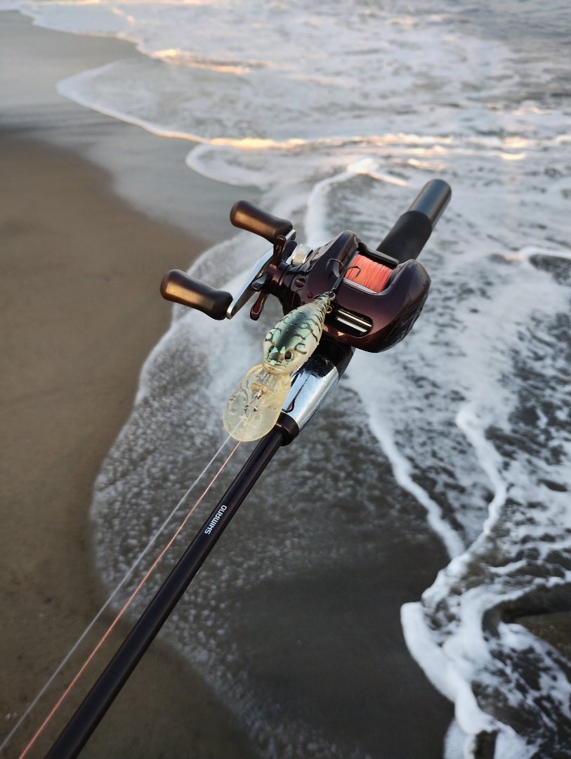 新兵器追加 シマノ スコーピオンXT 1581F | 両軸愛者 ～引金派～