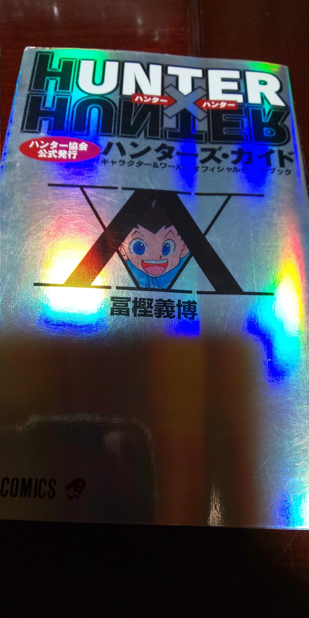 HUNTER×HUNTERハンターズガイド | 気ままに青春オモチャ箱