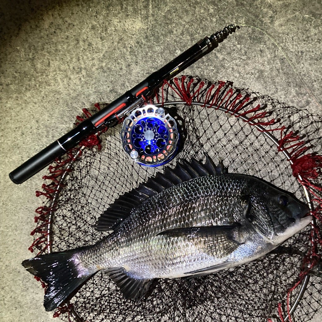 ウルトラコンパクト 超小継磯竿 | EDOKURO東京湾奥クロダイ釣り日記