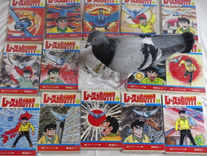 レース鳩0777 | 魔界ノ風鷹