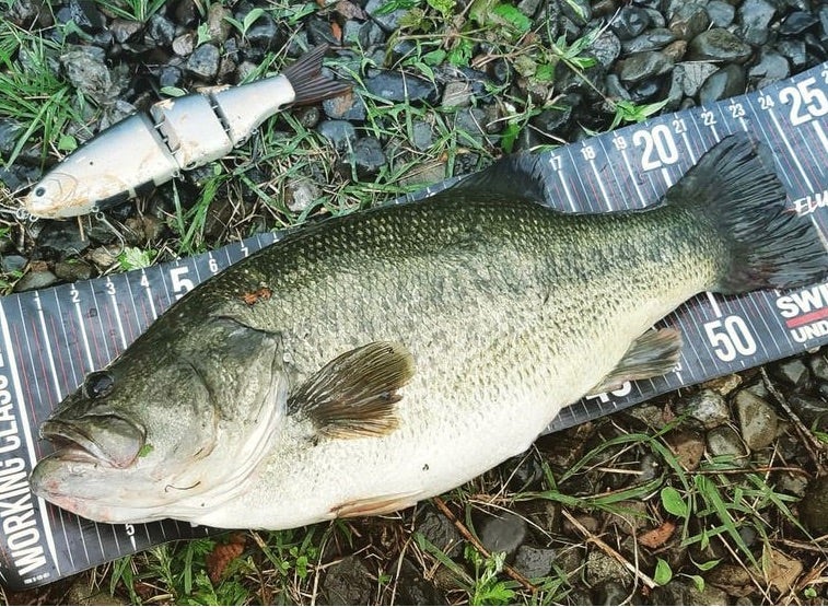 SUPLEX コアサイドの販売について》 | Fish! tackle shopのブログ