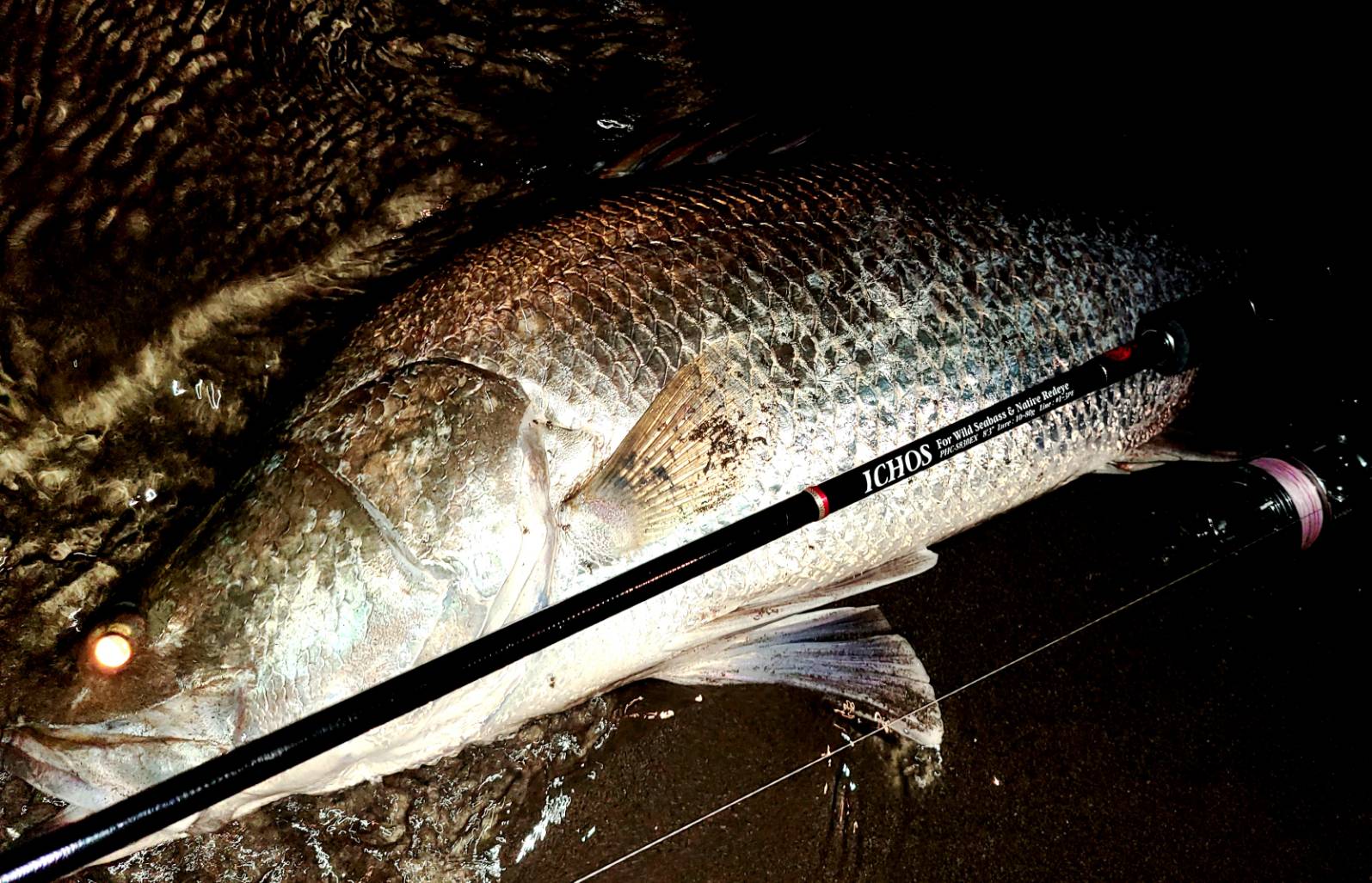 イクオスオーナー様・気になっている皆様へ、ご報告と新たなお知らせ