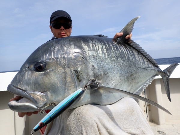 ☆特別販売☆ KLL 027 ダーティング トーピード | カーペンタールアー